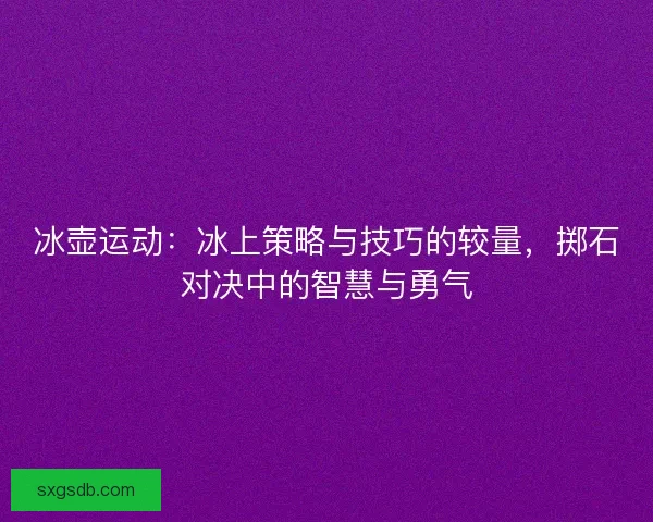 冰壶运动：冰上策略与技巧的较量，掷石对决中的智慧与勇气